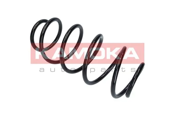 Suspension Spring 2110356