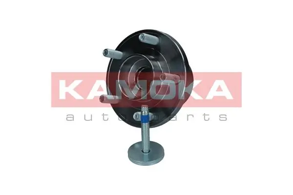 Wheel Bearing Kit 5500143