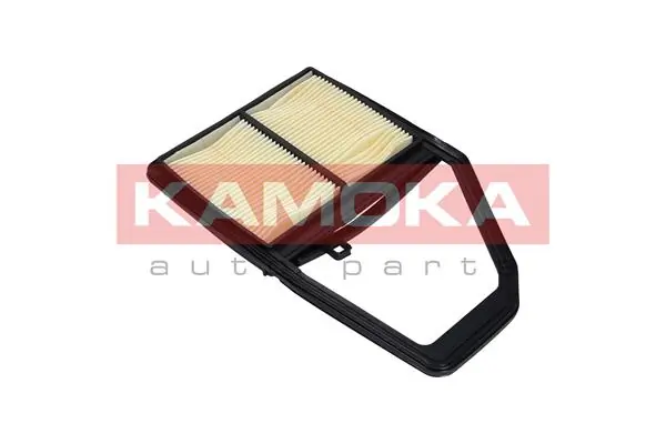 Air Filter F225701
