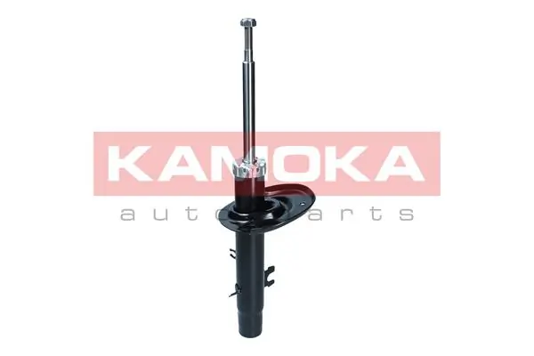 Shock Absorber 2000171