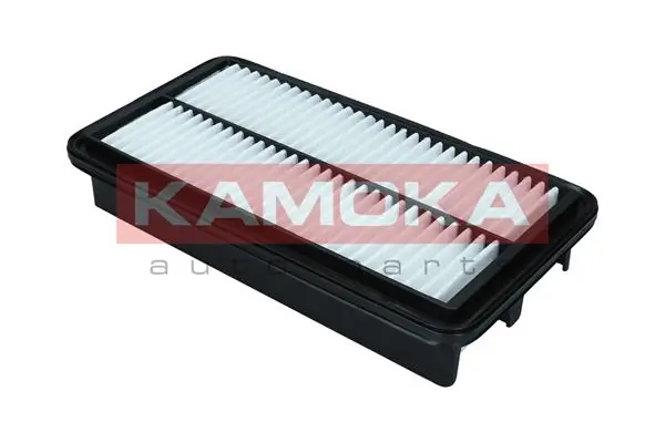Air Filter F250701