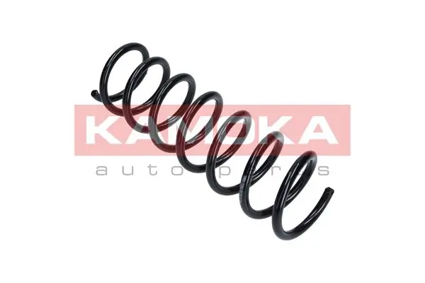 Suspension Spring 2120162