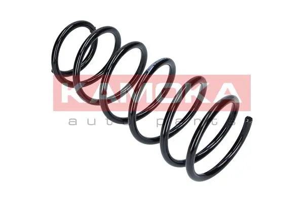 Suspension Spring 2110102