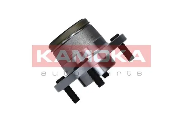 Wheel Bearing Kit 5500135