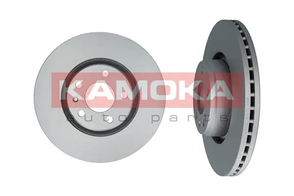 Brake Disc 1031019