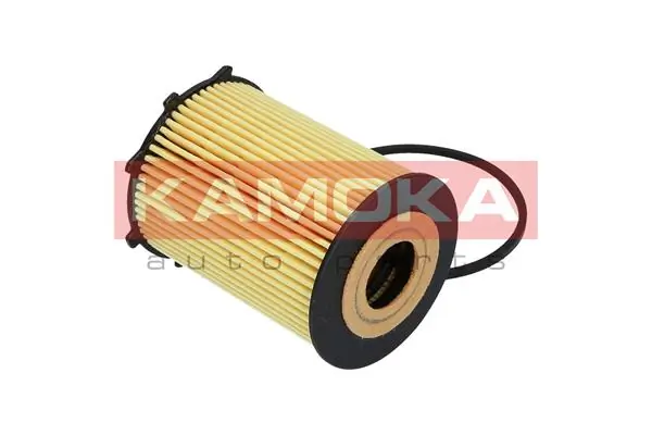 Oil Filter F111801