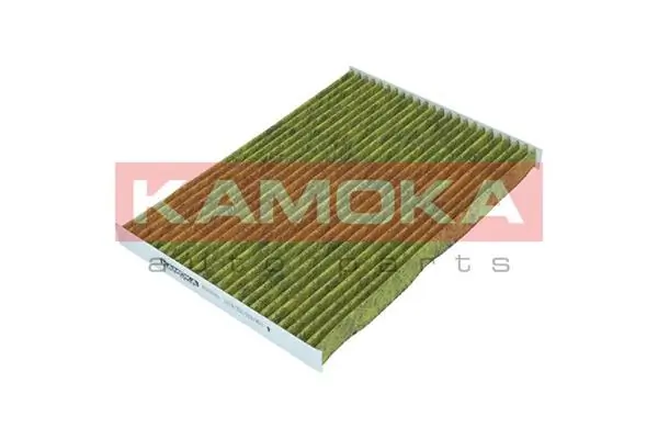 Filter, cabin air 6080093