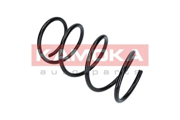 Suspension Spring 2110115