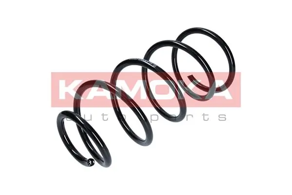 Suspension Spring 2110169