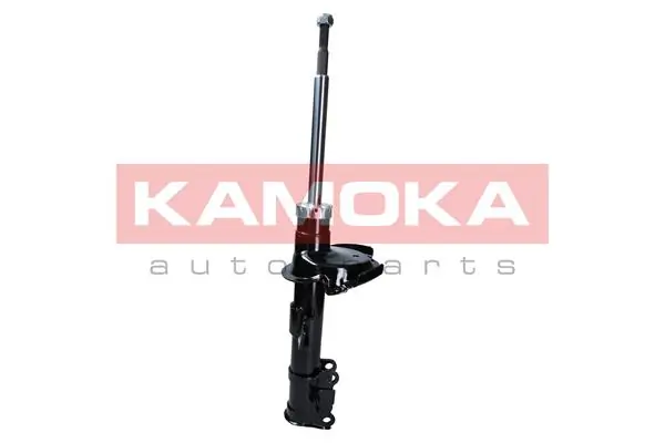 Shock Absorber 2000062