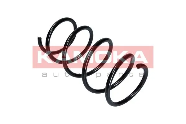 Suspension Spring 2110187