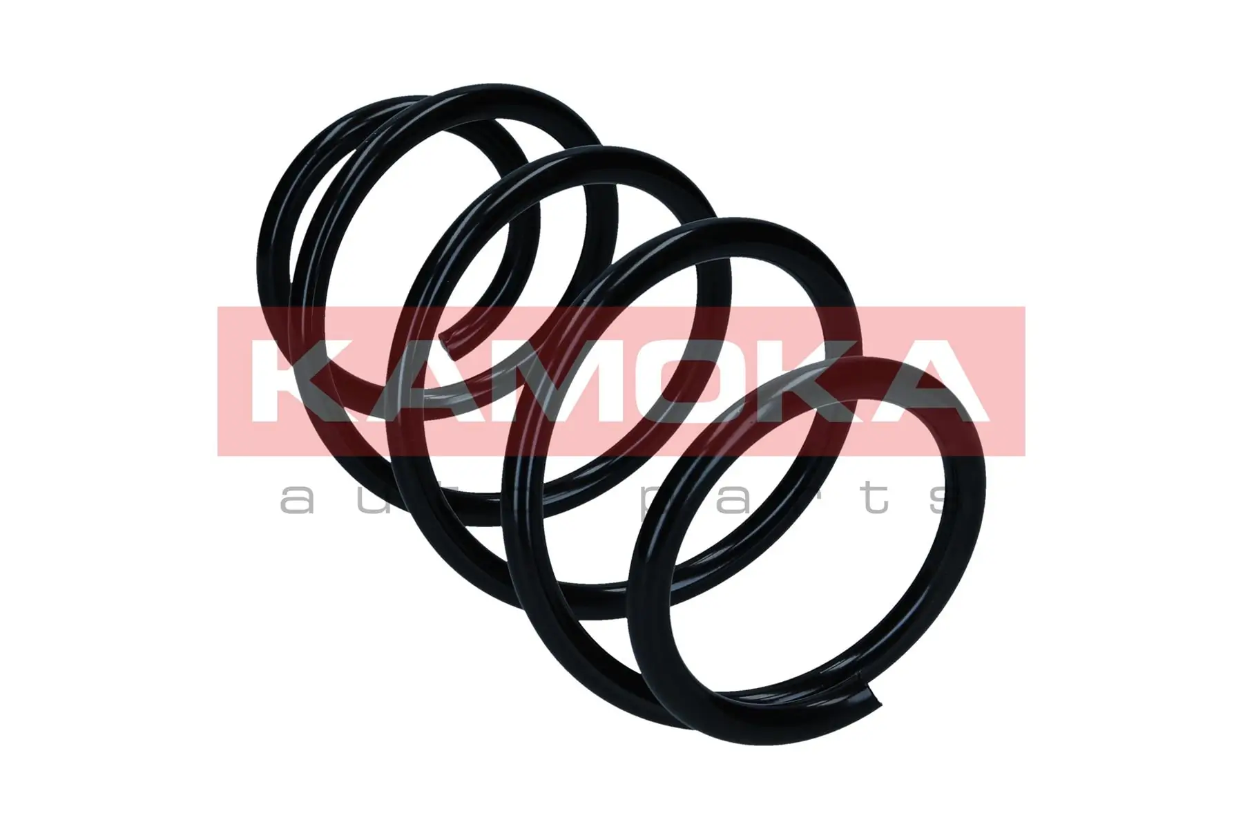 Suspension Spring 2110658