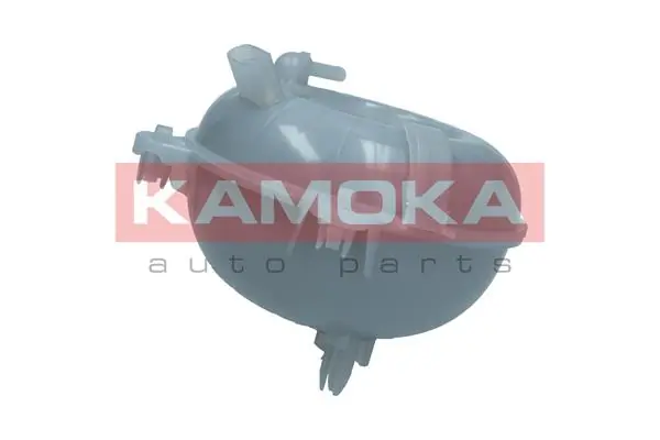 Expansion Tank, coolant 7720030