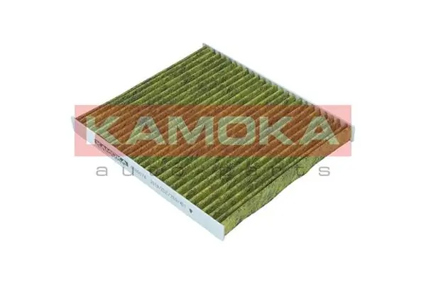 Filter, cabin air 6080074