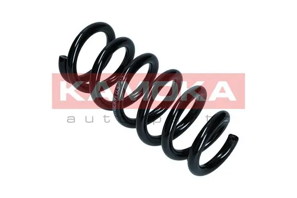 Suspension Spring 2110348