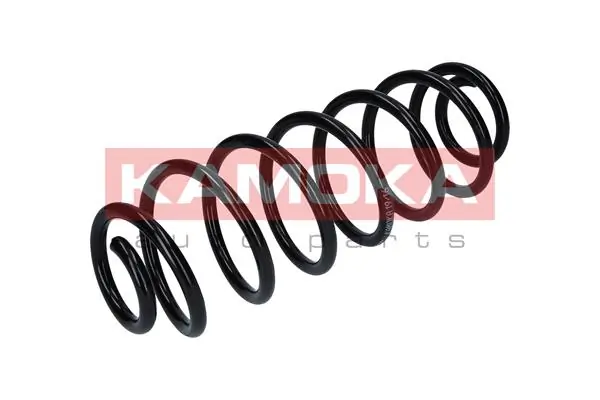 Suspension Spring 2120161