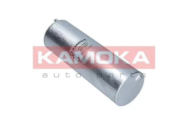 Fuel Filter F317401