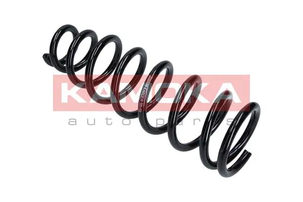 Suspension Spring 2110170