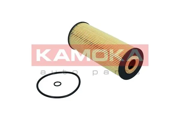 Oil Filter F100601