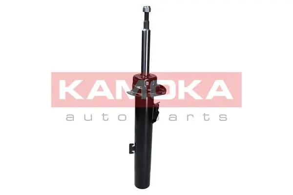 Shock Absorber 2000295