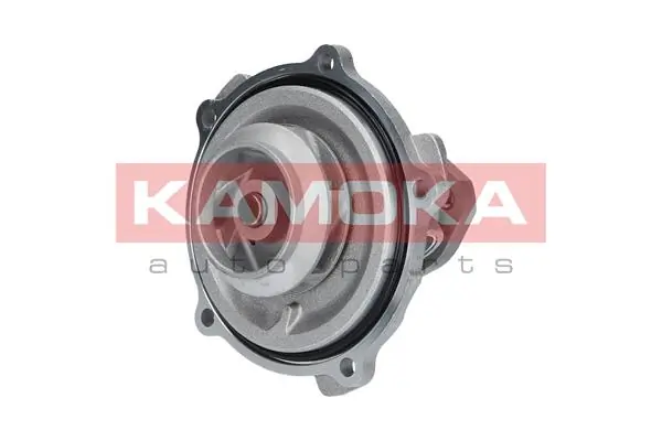 Water Pump, engine cooling T0038