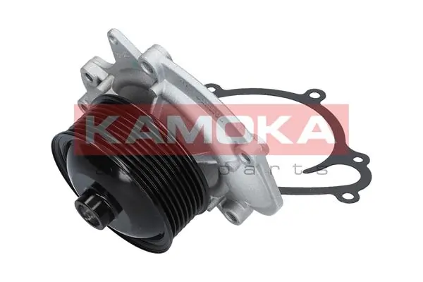 Water Pump, engine cooling T0191