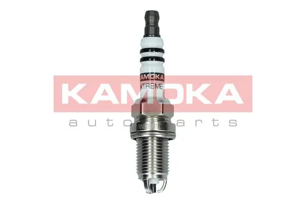 Spark Plug 7100509