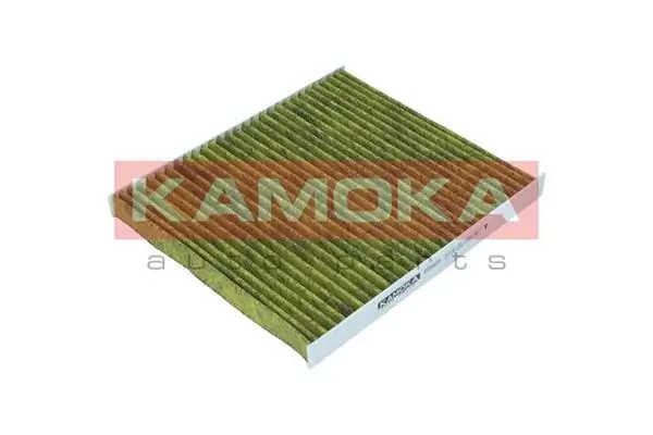 Filter, cabin air 6080080