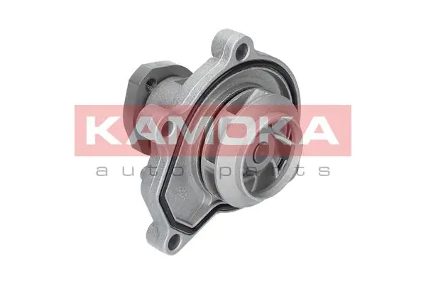 Water Pump, engine cooling T0252
