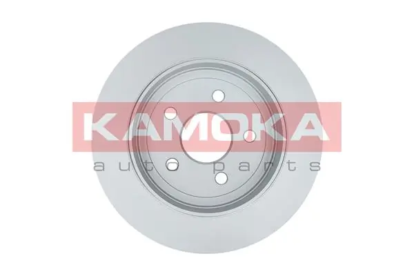 Brake Disc 103113