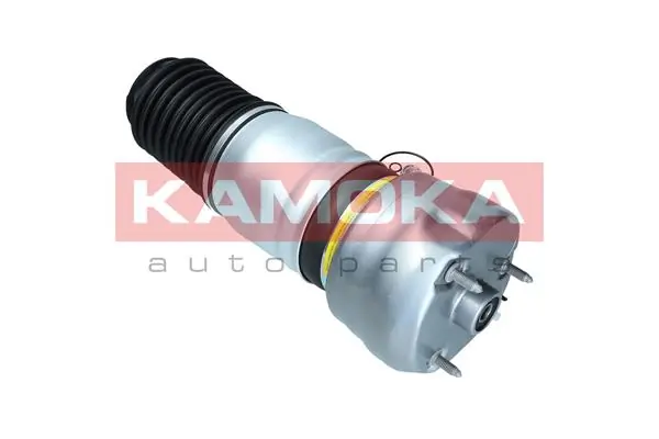 Air Spring, suspension 2079063