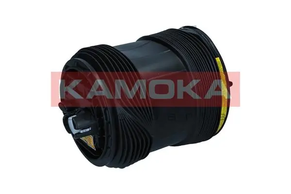 Air Spring, suspension 2079071