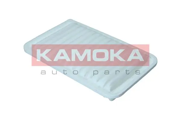 Air Filter F251501