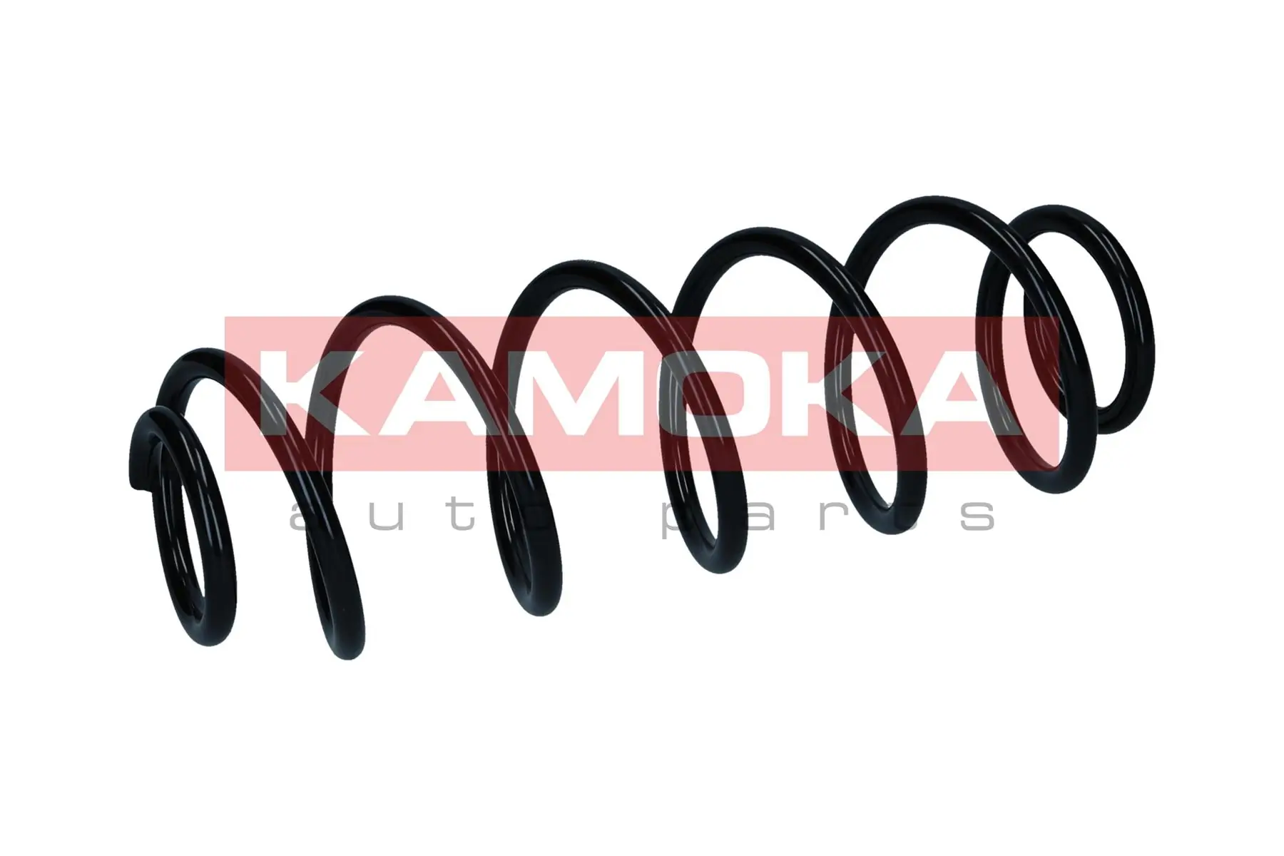 Suspension Spring 2120580