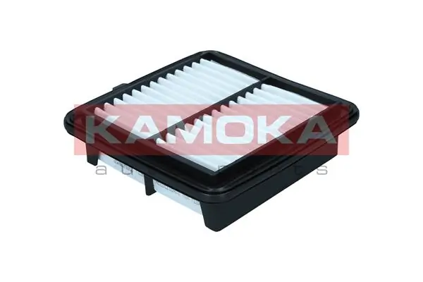 Air Filter F256601