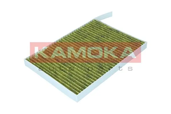 Filter, cabin air 6080164