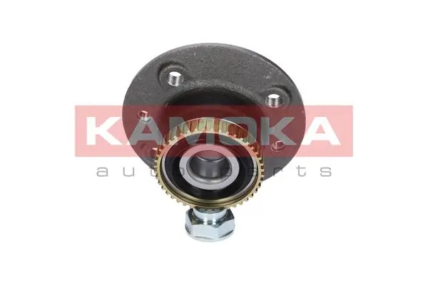 Wheel Bearing Kit 5500001