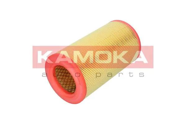 Air Filter F259501