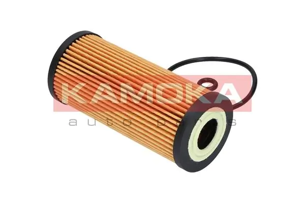 Oil Filter F108801