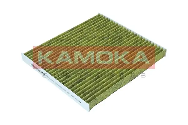 Filter, cabin air 6080028