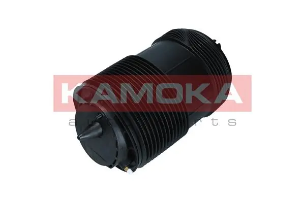 Air Spring, suspension 2079014