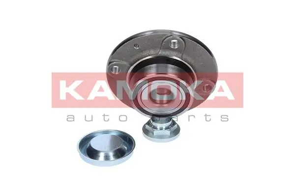 Wheel Bearing Kit 5500052