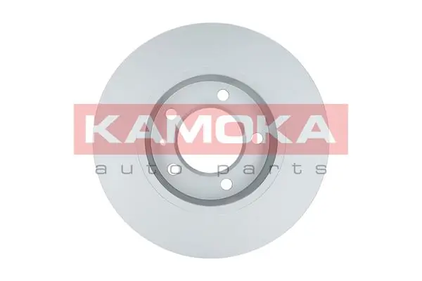 Brake Disc 1032544