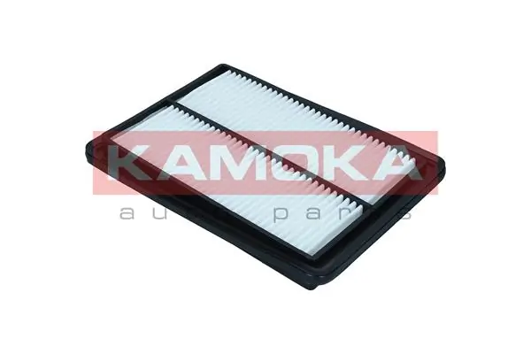 Air Filter F257501