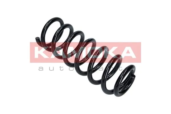 Suspension Spring 2120203