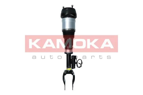 Air Suspension Strut 2070004