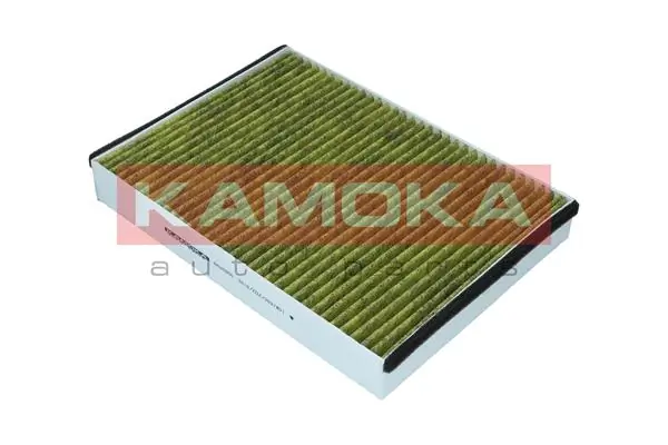 Filter, cabin air 6080050