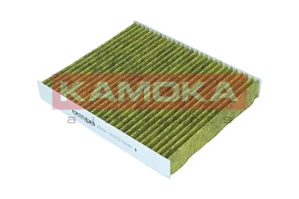Filter, cabin air 6080085