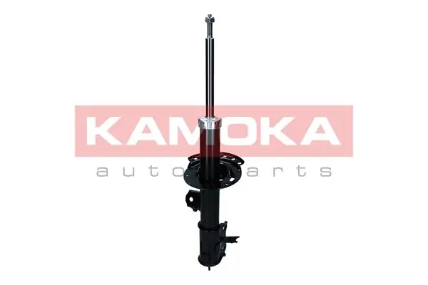 Shock Absorber 2001097