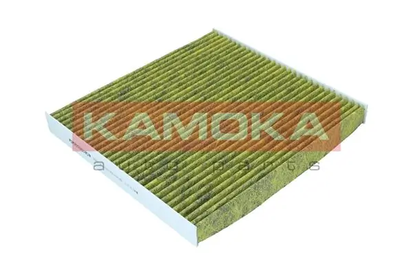 Filter, cabin air 6080124